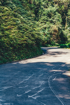 弯曲山路景观