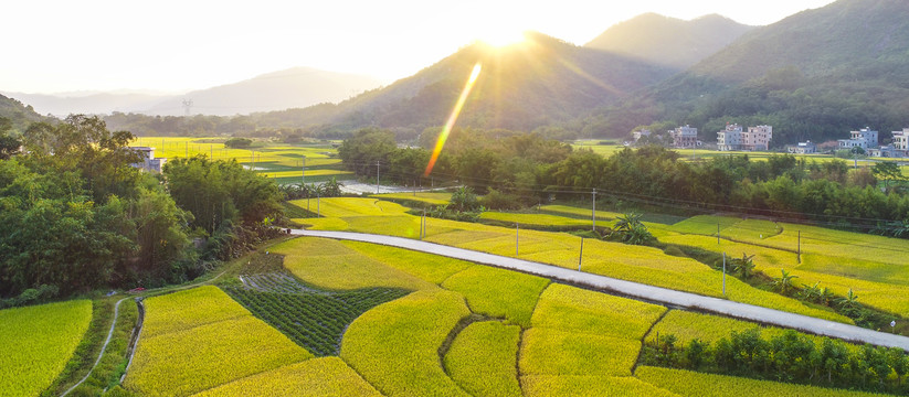 田埂田野