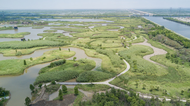 杭州湾湿地公园