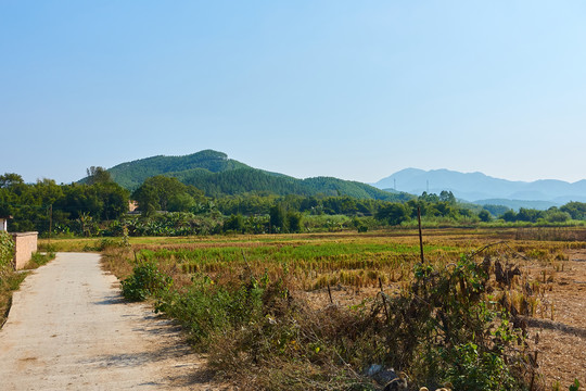 田边小路