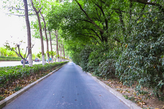 人行道道路