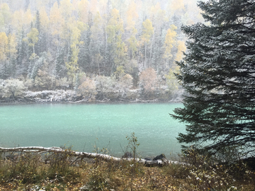 雪后的喀纳斯美景