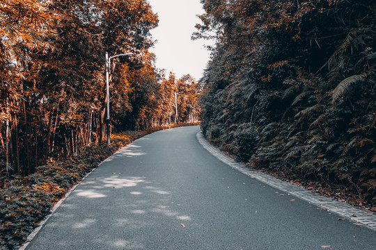 弯曲山路