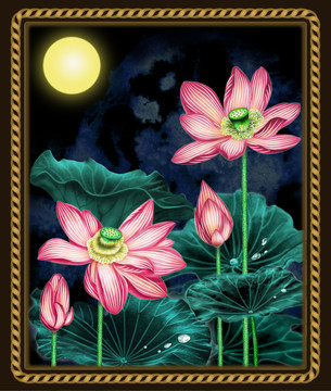 夢(mèng)幻荷花