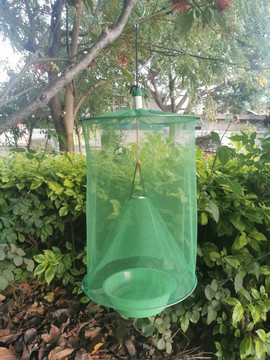 殺蟲箱