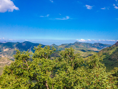 北京灵山黄草梁