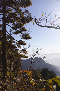 登黄山天下无山