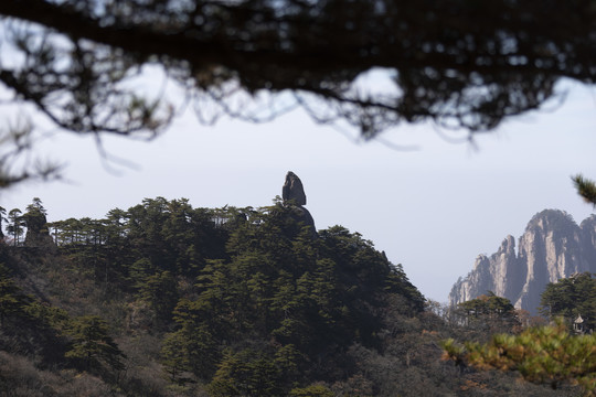 登黄山天下无山