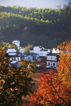 塔川秋色