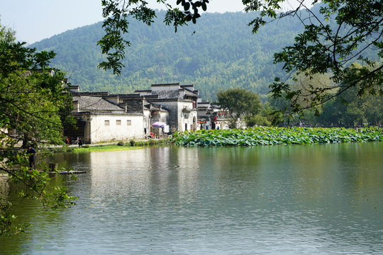 黄山宏村南湖边的徽派建筑景色