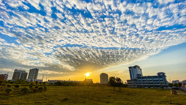 来宾高新区