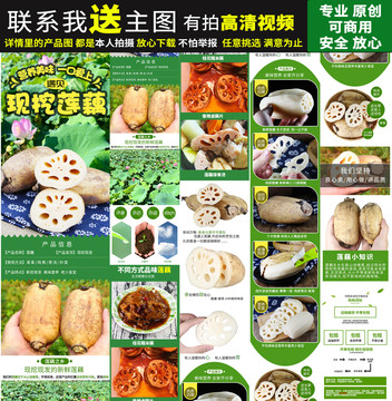 蓮藕詳情頁