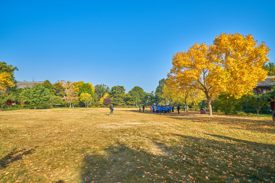 北京大学秋景