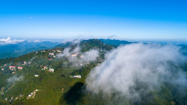 莫干山