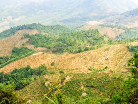 玳瑁山大帽山鳌山