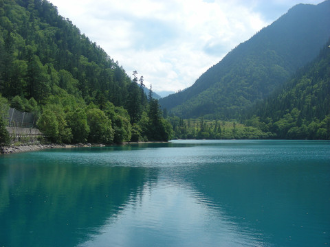 青山绿水