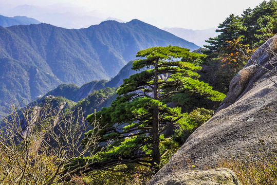 黄山风光