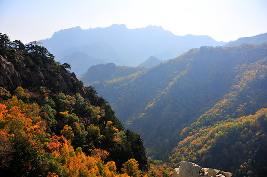 高山秋景