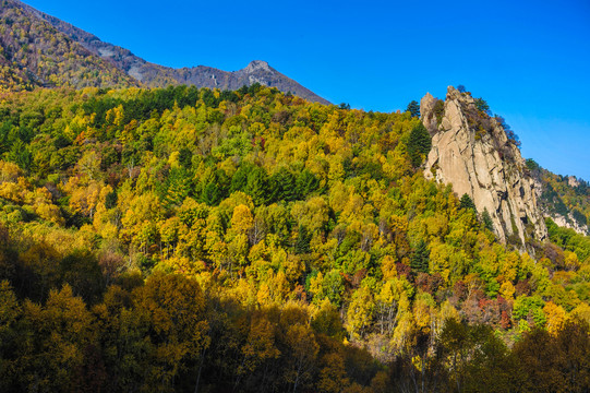 雾灵山