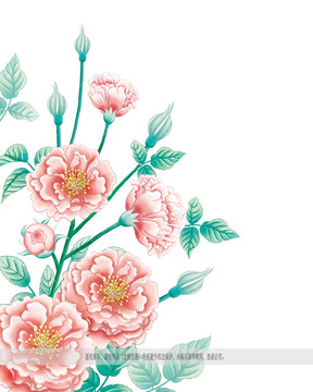 薔薇花素材
