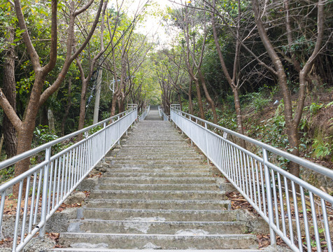 登山台阶