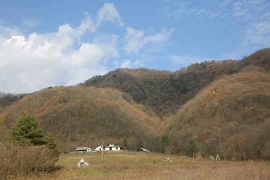 山里人家