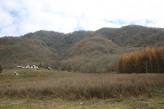 山里人家