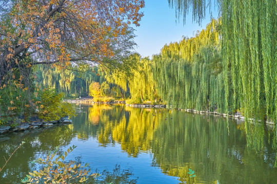 北京大学未名湖秋景