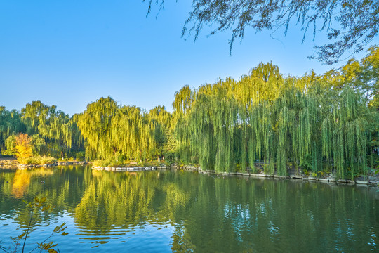 北京大学未名湖秋景