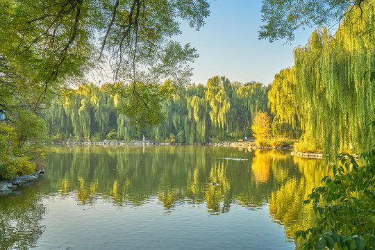 北京大学未名湖秋景