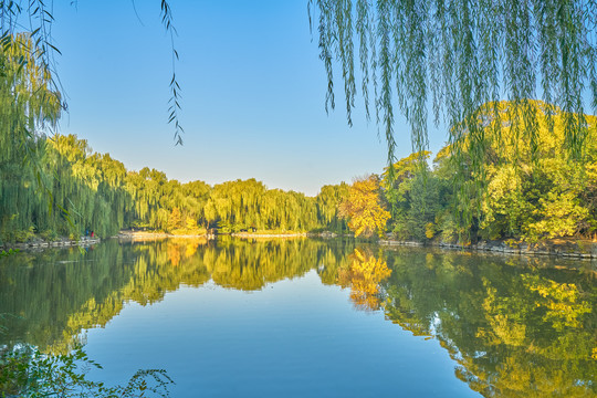 北京大学未名湖秋景