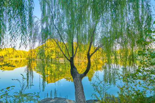 北京大学未名湖秋景