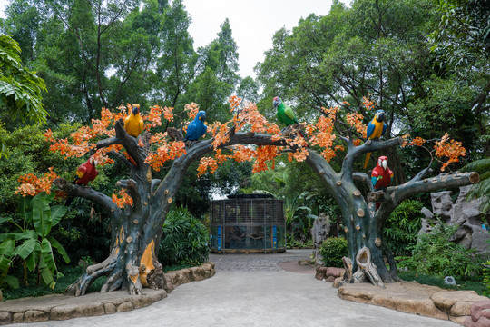 鹦鹉园景区大门