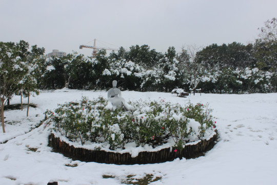 雪景