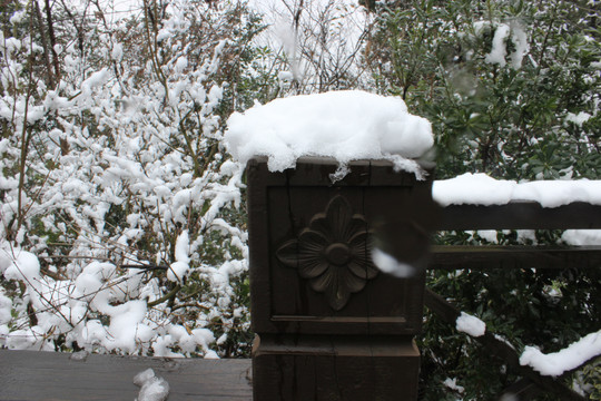 雪景