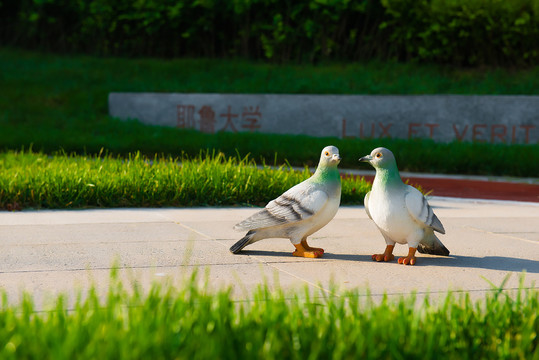 别墅鸽子装饰摆件