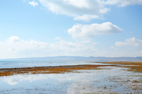 青海湖边