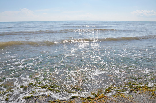 青海湖水