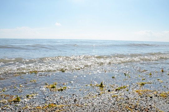 青海湖沙滩