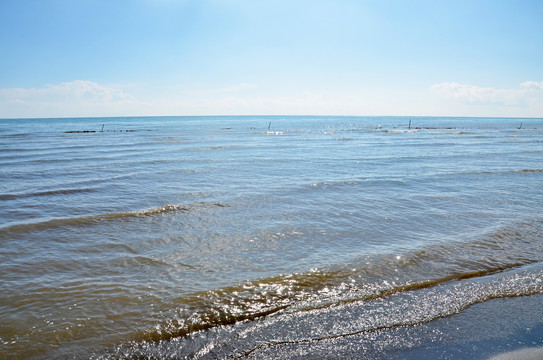 青海湖边