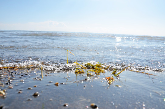 青海湖边