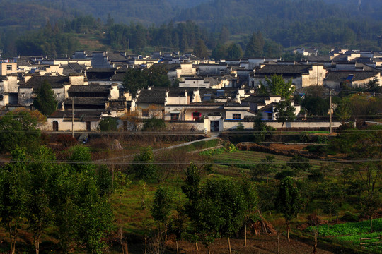 安徽西递古村的清晨