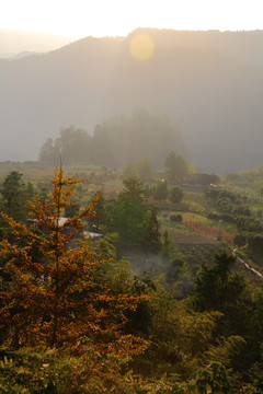 山区早晨