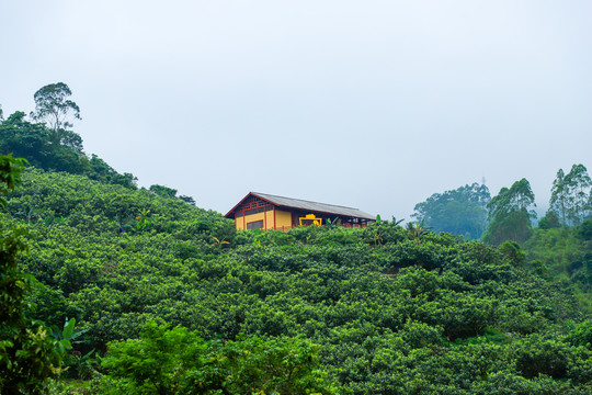 山区景区云雾中山间别墅