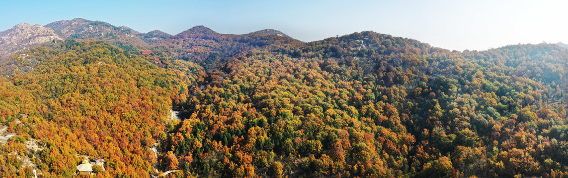 山东枣庄莲青山森林公园美丽秋景