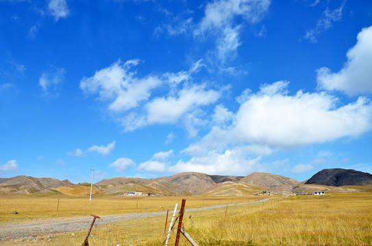 高原牧场