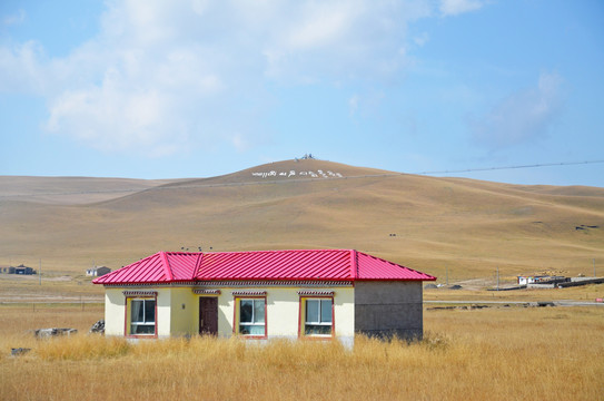 高原牧场