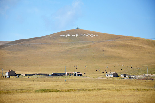 高原牧场