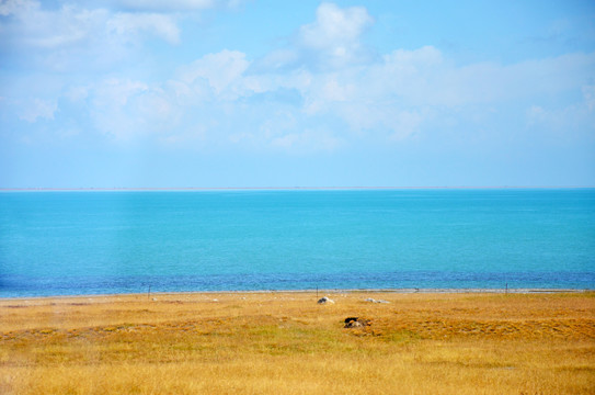 青海湖