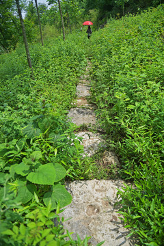 茶马古道